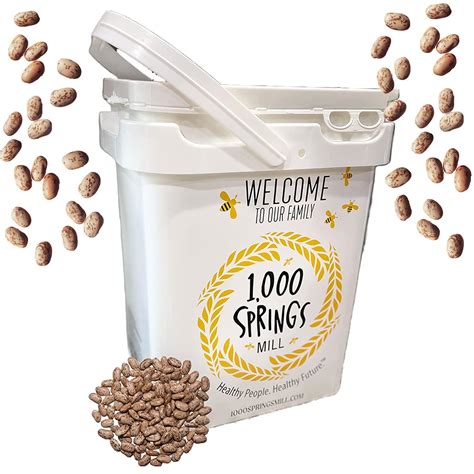 Springs Mill Bulk Organic Pinto Beans 25lb Bulk Bucket Used For Soups Stews Dips Chili