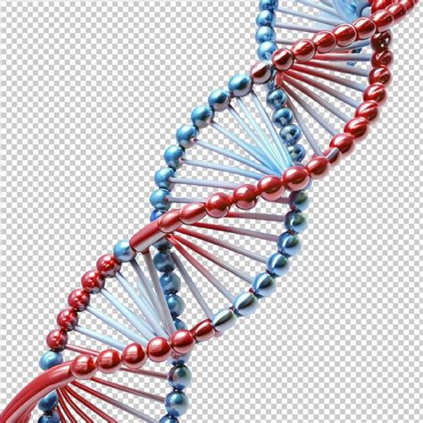 Beautiful DNA Double Helix Isolated On Transparent Background Premium