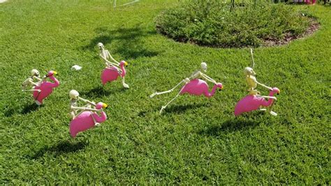 Halloween Florida Style Flamingos Anyone Halloween Decorations