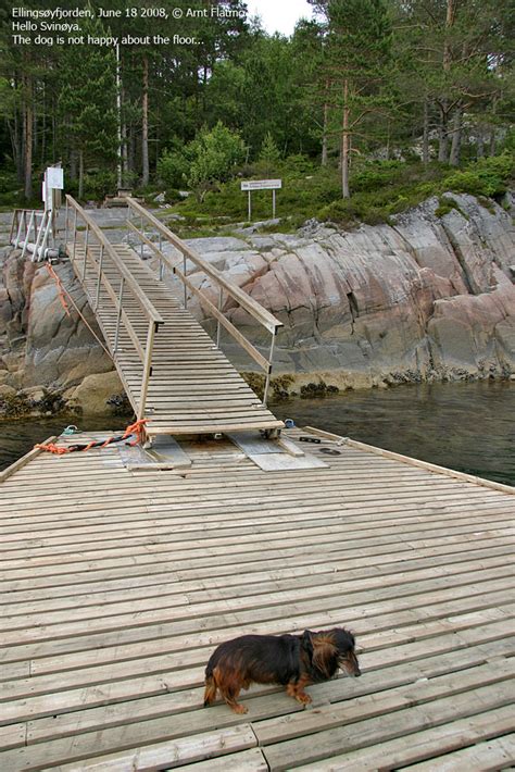 Norwegian Mountains - Route Descriptions - Svinøya island in ...