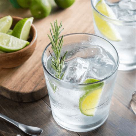 Elderflower Gin And Tonic Mix Drink Ipedia