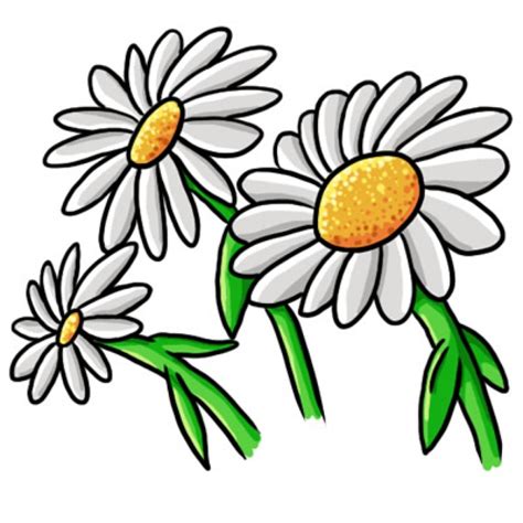 Daisy Flower Clip Art - ClipArt Best