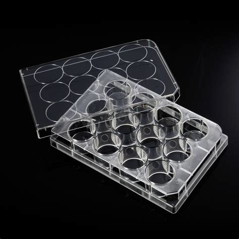 Well Plastic Tissue Culture Plate Disposable Tc Treated Lab