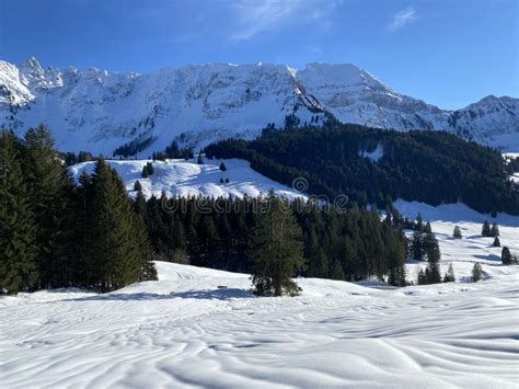 Winter Ambience and Beautiful Idyllic Atmosphere on the Snow-capped ...