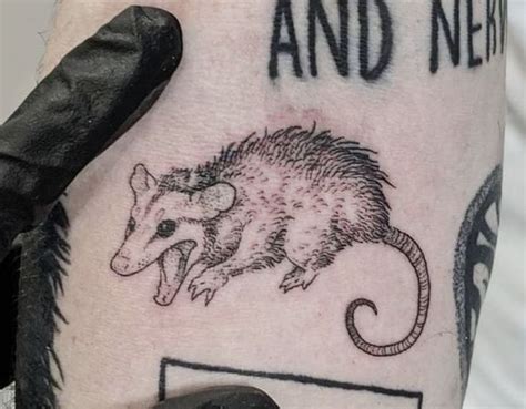 possum pose | Cute tattoos, Tattoos, Small tattoos