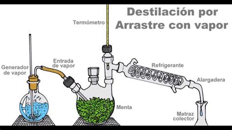 Destilaci N Por Arrastre De Vapor Youtube