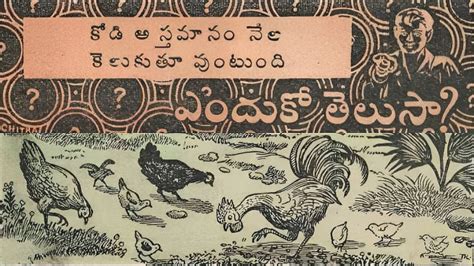 కడ గదద వర కథ Telugu Birds Story Kothaga Chandamama Kathalu