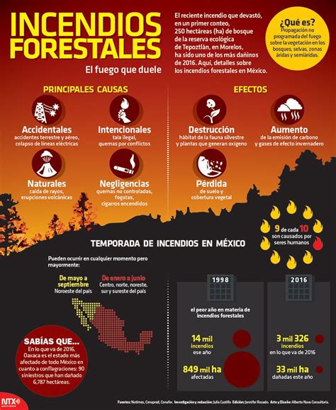 Infograf A Sobre Los Incendios Forestales En M Xico Ejecentral