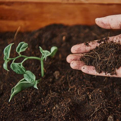 Fertilidade Do Solo X Aduba O Entenda Como Os Conceitos Est O