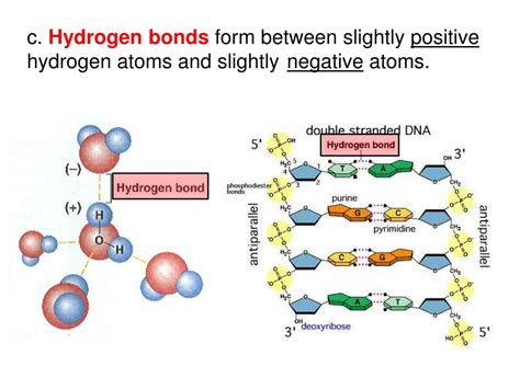 Ppt Unit 1 Structure And Function Biochemistry Chapter 2