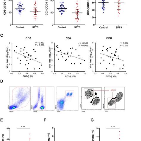 MSCs Increase MHC II CD11b And CD11b Ly6C Ly6G Cells In