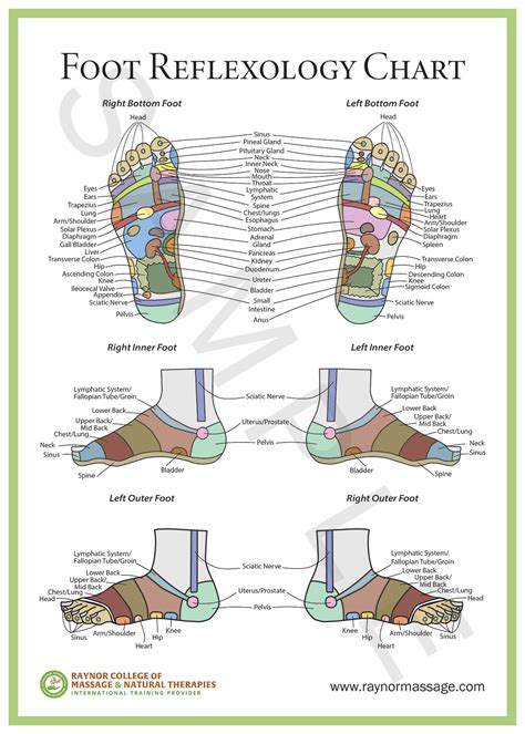 Hand And Foot Reflexology Chart