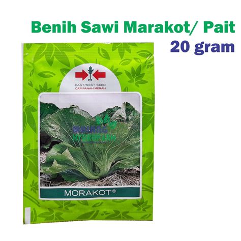 Jual Benih Sawi Pahit Morakot Cap Panah Merah 20 Gram Bibit Sayuran