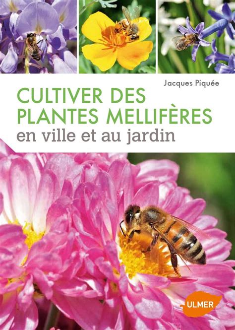 Extrait Cultiver des plantes mellifères en ville et au jardin