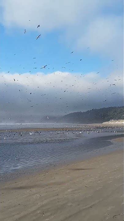 Oregon Coast Youtube