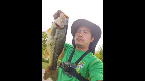 Tug Ntses Bass Loj Heev Big Bass In Small Pond Bass Manager The