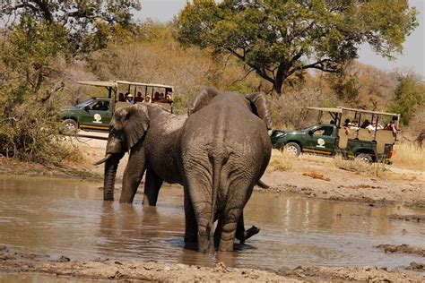 Tripadvisor Sonnenaufgang im Krüger Nationalpark Private Safari am