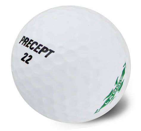 Precept Laddie Extreme | Used Golf Balls | Two Guys with Golf Balls