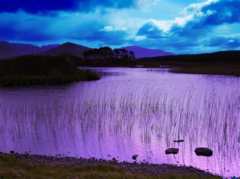 Scenic Lake In Purple Wallpaper Nature And Landscape Wallpaper Better