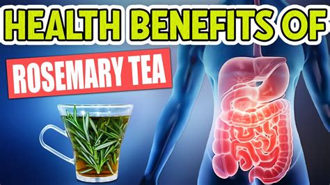 Amazing Health Benefits Of Rosemary Tea Youtube