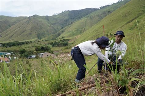 Inalum Komitmen Dukung Pelestarian Lingkungan Kawasan Danau Toba