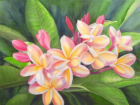 Plumeria Painting Matted Art Print Etsy