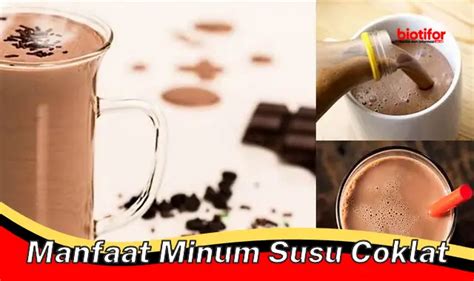 Temukan Manfaat Minum Susu Cokelat Yang Jarang Diketahui Biotifor