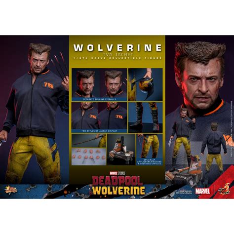 Arriloe Q Hot Toys Mms