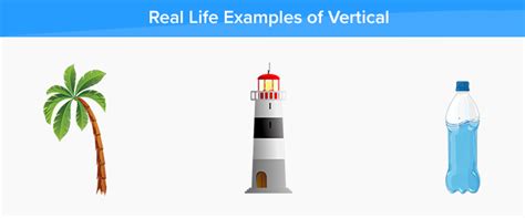 What is Vertical? - Definition, Facts and Examples