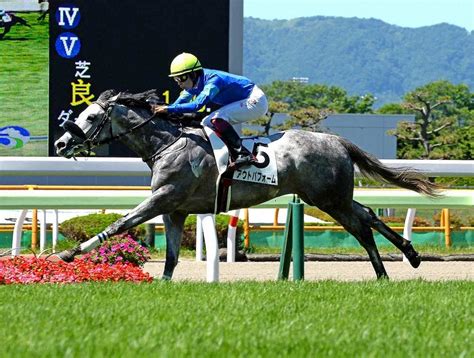 競馬ニュース詳細｜東京サラブレッドクラブ