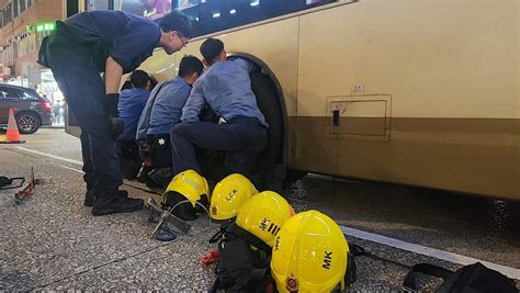 旺角頑皮貓亂過馬路被困巴士車底 消防「瞓身」營救 愛貓人士出謀獻策 星島日報