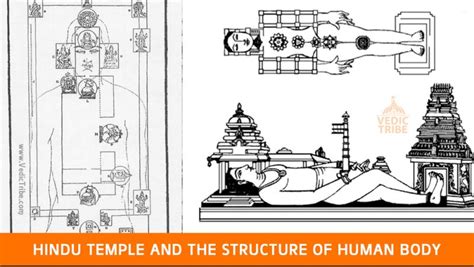 Vaastu Shastra Hindu Temple And The Structure Of Human Body Vedic Tribe