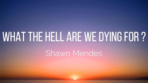 Shawn Mendes What The Hell Are We Dying For Lyrics Youtube