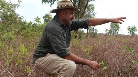 Parks Australia To Plead Guilty Over Gunlom Falls Sacred Site Damage