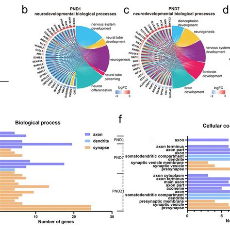 Analysis Of Mrna Expression Profiles In The Cortex Of Male Offspring