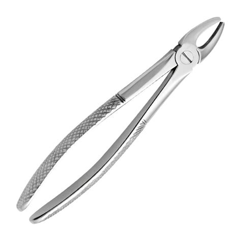 Forceps Adulto Recto Para Incisivos Y Caninos Superiores Dentosmed