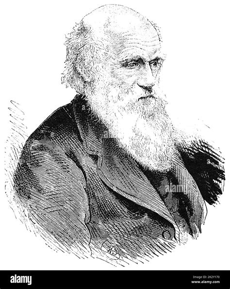 Portrait Of Charles Robert Darwin An English Naturalist Geologist