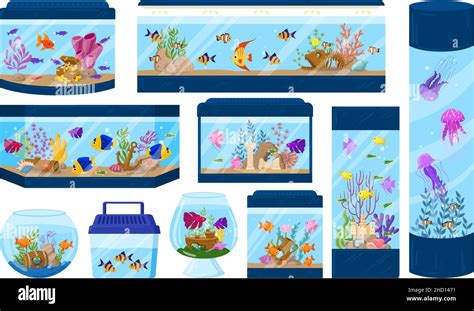 Cartoon Aquariums With Underwater Fish Algae And Corals Aquarium