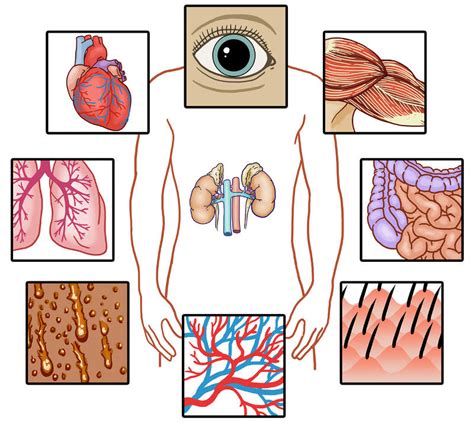 Cell Communication Advanced Read Biology Ck 12 Foundation