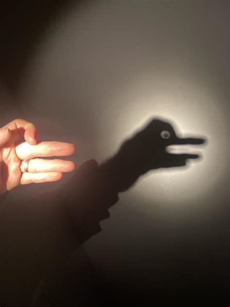 My Shtty Shadow Puppet Duck Got An Accidental Eyeball Tonight Thanks