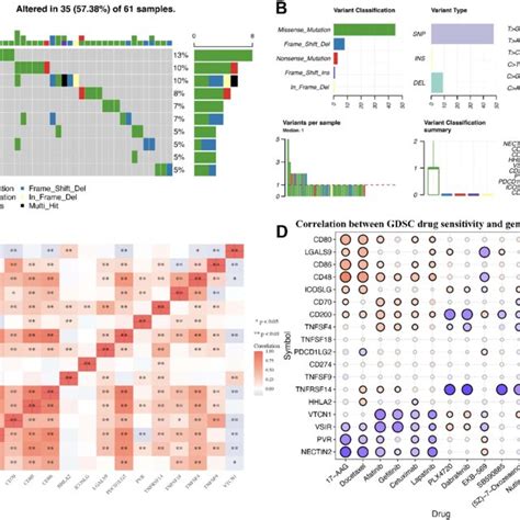 Genetic Mutation Landscape And Drug Sensitivity Analysis Of Immune Download Scientific Diagram