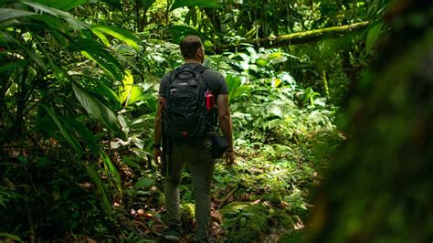 Turismo De Naturaleza Y Ecoturismo Awal Ecoturismo