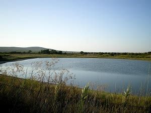 Concepto De Laguna Definici N En Deconceptos