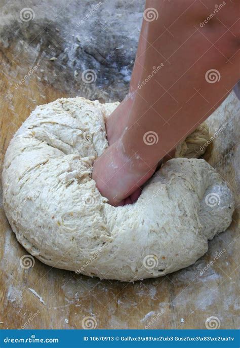 kneading stock image image  baker cooking pizza