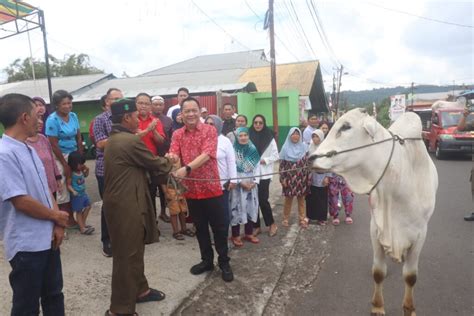 Sebagai Wujud Kepedulian Caroll Senduk Serahkan Hewan Kurban Di Masjid