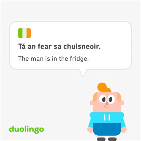 100 Of The Best And Weirdest Duolingo Sentences Ever Artofit