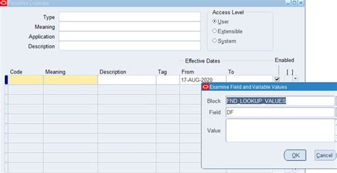 Oracle Application S Blog How To Enable Dff In Lookup