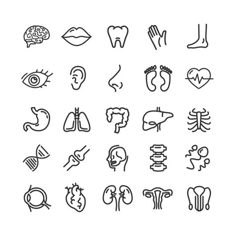 Body Parts Icon Royalty Free Images Stock Photos Pictures