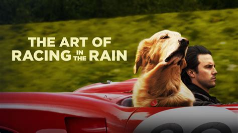 The Art of Racing in the Rain | Disney+