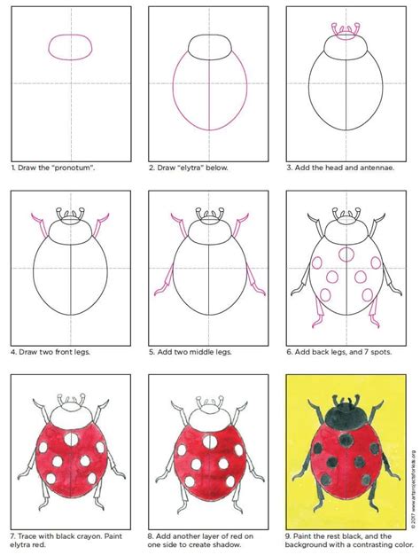 How To Draw A Ladybug Step By Step